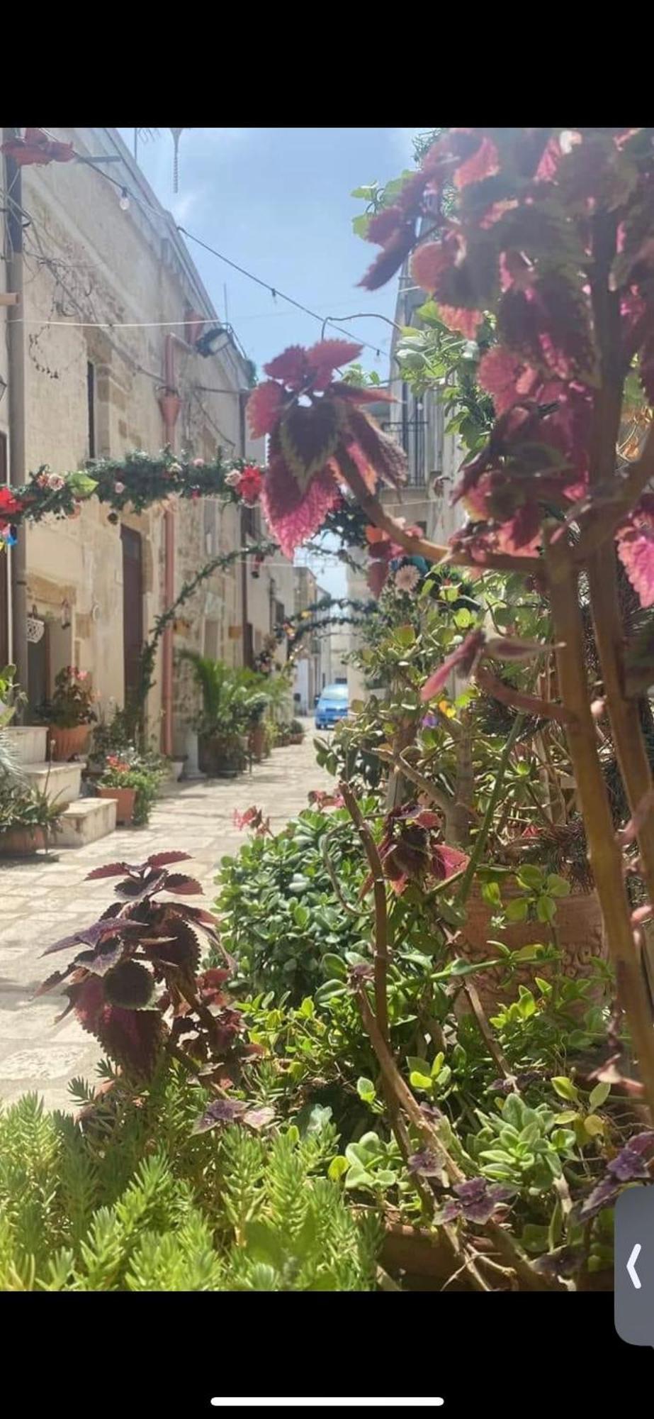 Vico Luxury Room Mesagne Εξωτερικό φωτογραφία